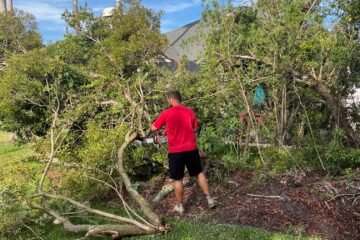 demo clean up st johns fl